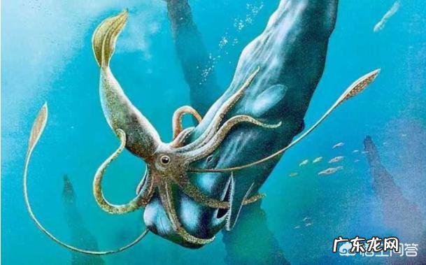 从荒诞传说到科学事实,北海巨妖“克拉肯”是如何现身的