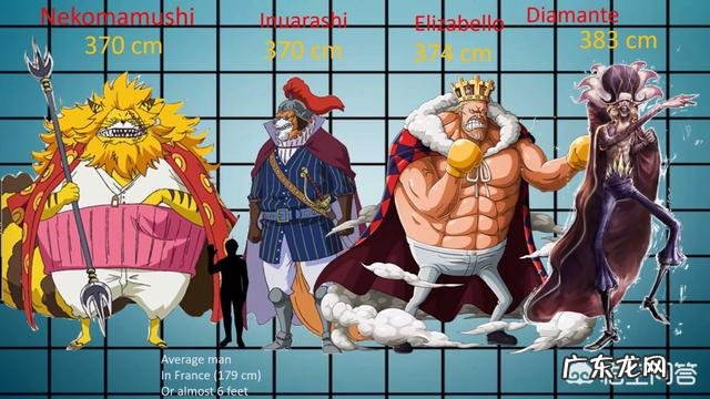 《海贼王》中的人物身高都是多少?最高的是谁?