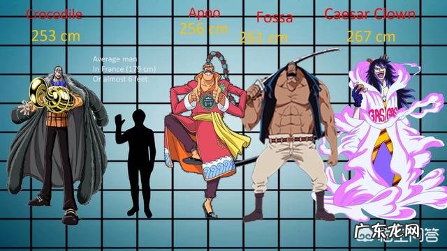 《海贼王》中的人物身高都是多少?最高的是谁?