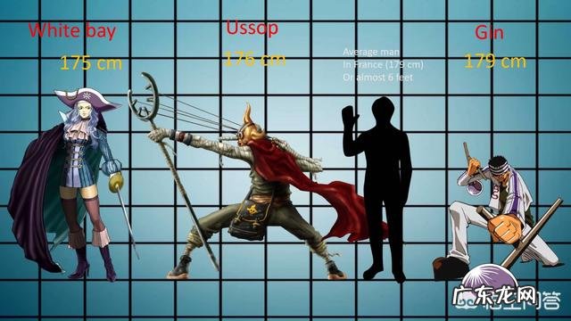 《海贼王》中的人物身高都是多少?最高的是谁?