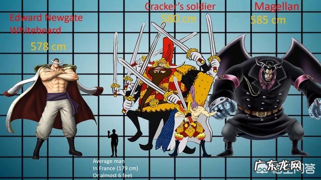 《海贼王》中的人物身高都是多少?最高的是谁?
