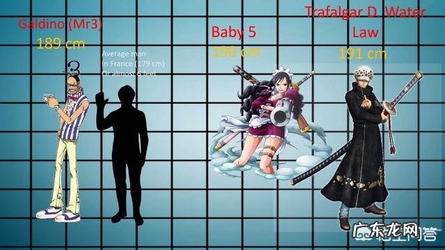 《海贼王》中的人物身高都是多少?最高的是谁?