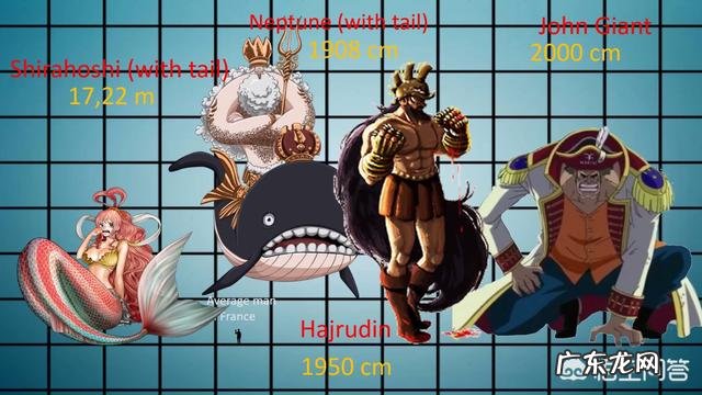 《海贼王》中的人物身高都是多少?最高的是谁?