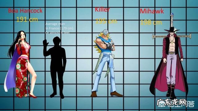 《海贼王》中的人物身高都是多少?最高的是谁?
