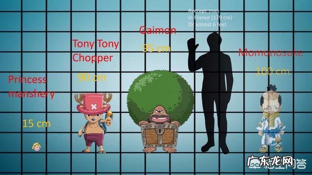 《海贼王》中的人物身高都是多少?最高的是谁?