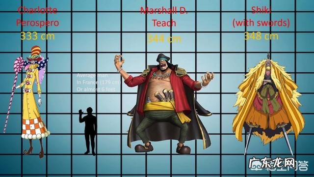 《海贼王》中的人物身高都是多少?最高的是谁?