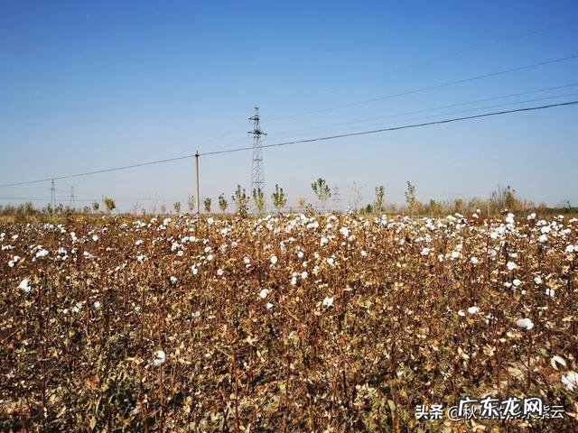 为什么农村老人不到万般无奈都不愿意去城里和孩子一起居住?