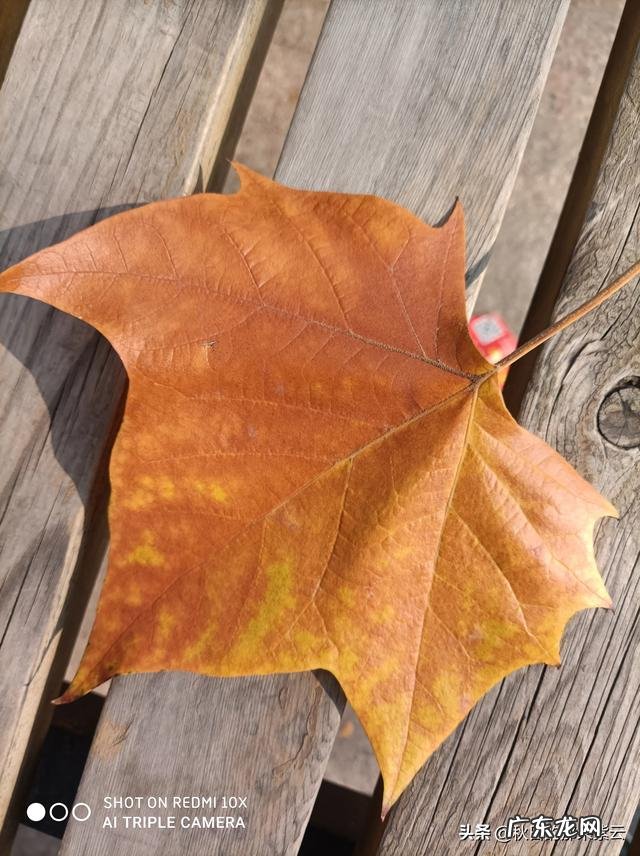 为什么农村老人不到万般无奈都不愿意去城里和孩子一起居住?