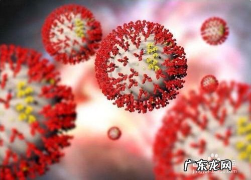 新冠与SARS病毒结构区别 新型冠状病毒与SARS的区别