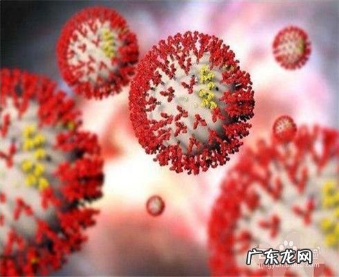 新冠病毒与2003年SARS差异性 新型冠状病毒与SARS的区别