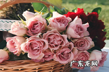 淘宝未按约定时间发货扣分吗?有哪些处罚?