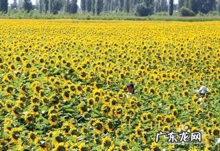 现在做什么生意赚钱投资小 如何赚钱项目