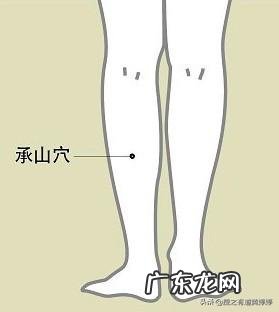 山楂搭什么祛湿气减肥 山楂普洱茶祛痰祛湿寒减肥吗?怎么样?