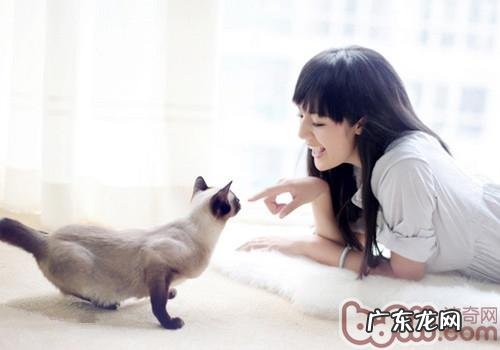 猫咪难接近,获取猫咪信赖有妙法