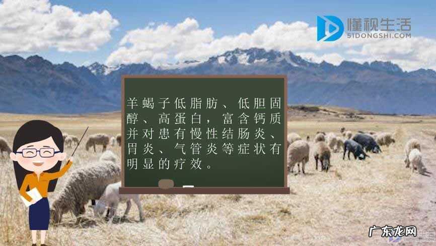 羊蝎子图片大全？ 羊蝎子是什么