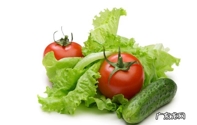 吃哪些食物可以消除体内油脂,排出毒素?