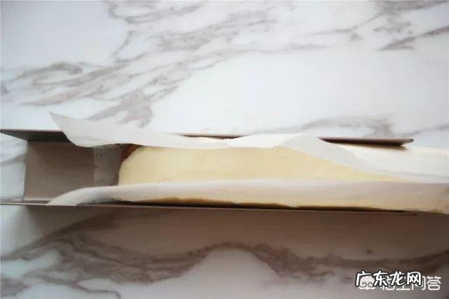 为什么低碳饮食可以减肥?