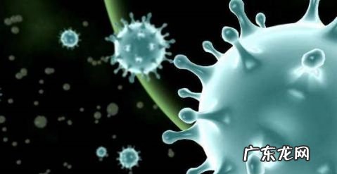 冠状病毒预防措施十条 怎么预防新型冠状病毒