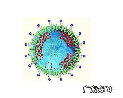 冠状病毒预防措施十条 怎么预防新型冠状病毒