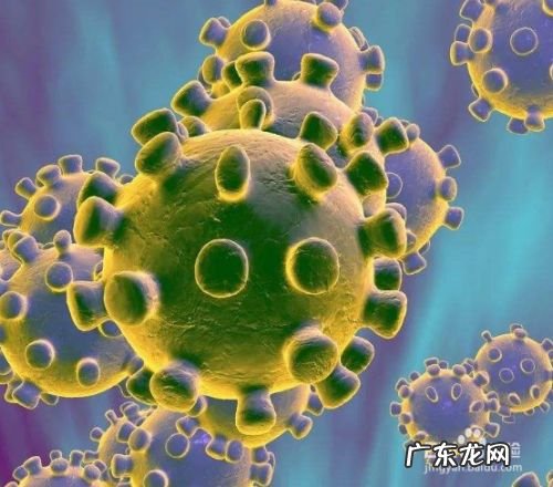 冠状病毒预防措施十条 怎么预防新型冠状病毒