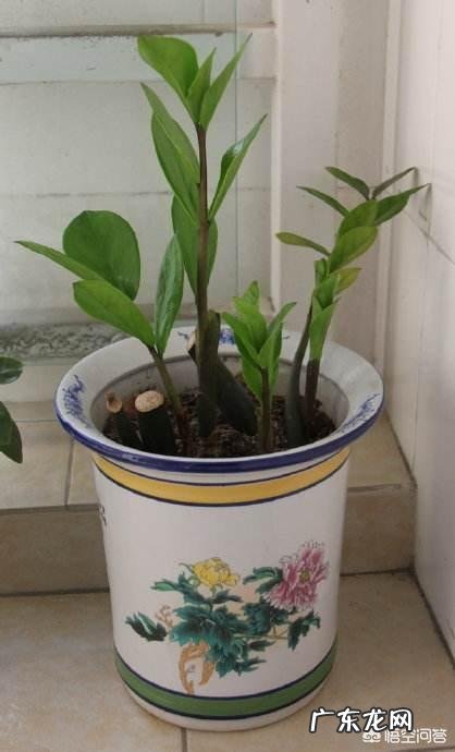 过了三十岁后,你的人生会有哪些变化呢