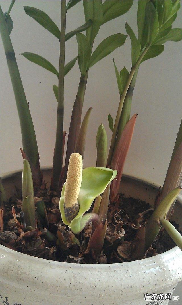 过了三十岁后,你的人生会有哪些变化呢