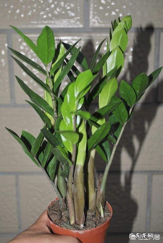 过了三十岁后,你的人生会有哪些变化呢