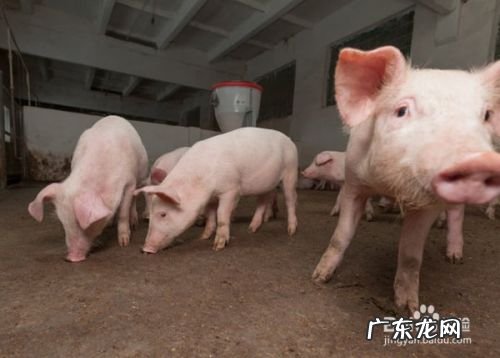 如何赚钱发财的23种方法 在农村赚钱的方法有哪些