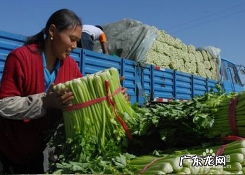 如何赚钱发财的23种方法 在农村赚钱的方法有哪些