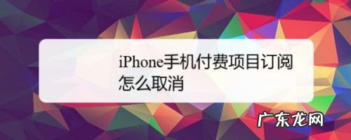 怎么解除手机付费会员 iPhone手机付费项目订阅怎么取消