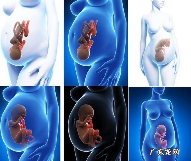 宝宝在妈妈子宫里吃的是什么?