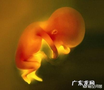 宝宝在妈妈子宫里吃的是什么?