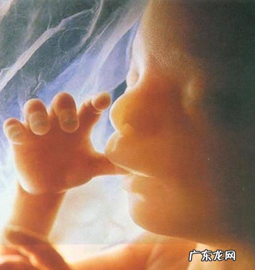 宝宝在妈妈子宫里吃的是什么?