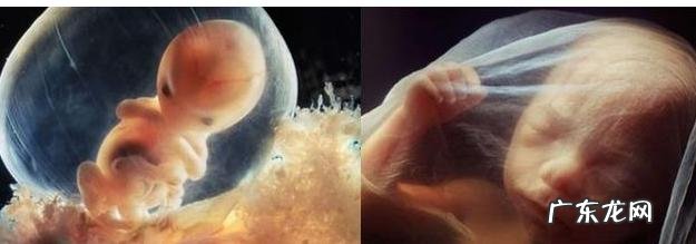 宝宝在妈妈子宫里吃的是什么?