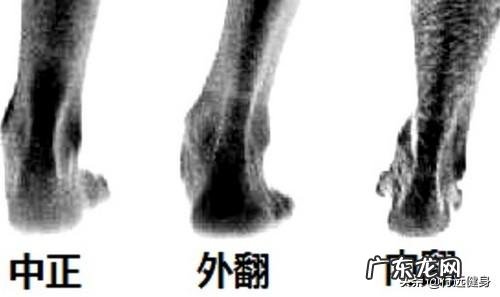 170cm，70kg体重，适合穿哪个系列的跑步鞋？