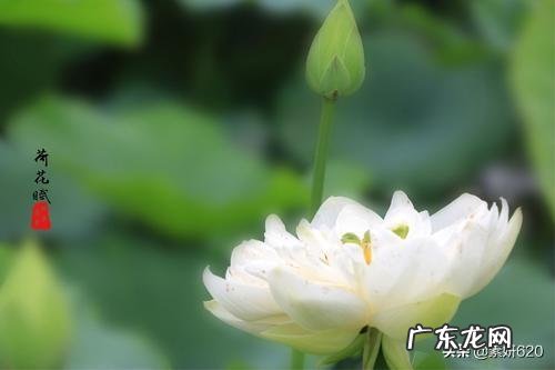 婚姻给你带来最强烈的感受是什么？