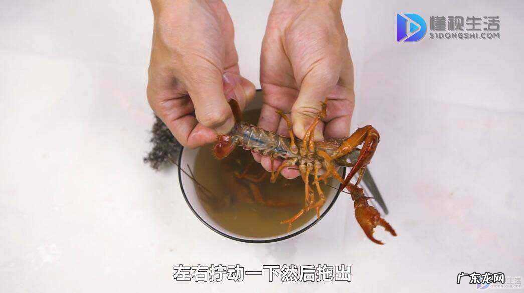 新鲜的活虾怎样清洗？ 小龙虾的清洗视频教程