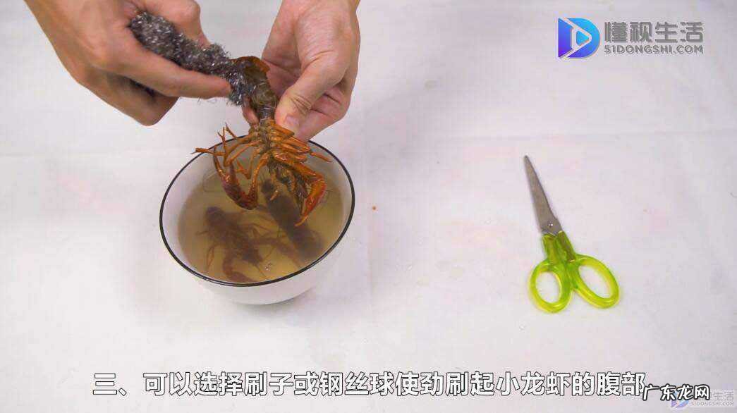 新鲜的活虾怎样清洗？ 小龙虾的清洗视频教程