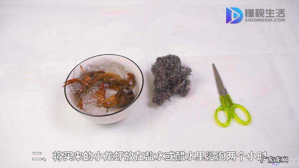 新鲜的活虾怎样清洗？ 小龙虾的清洗视频教程