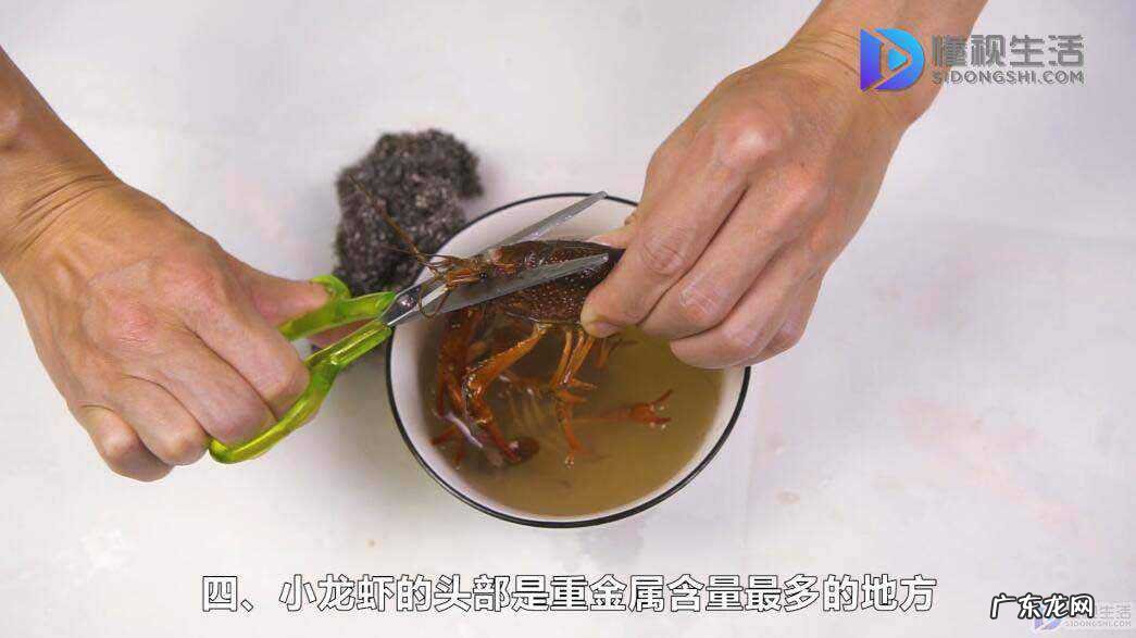 新鲜的活虾怎样清洗？ 小龙虾的清洗视频教程