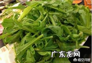 古人常吃的减肥食物有哪些?