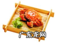 猫咪为什么不爱吃甜食