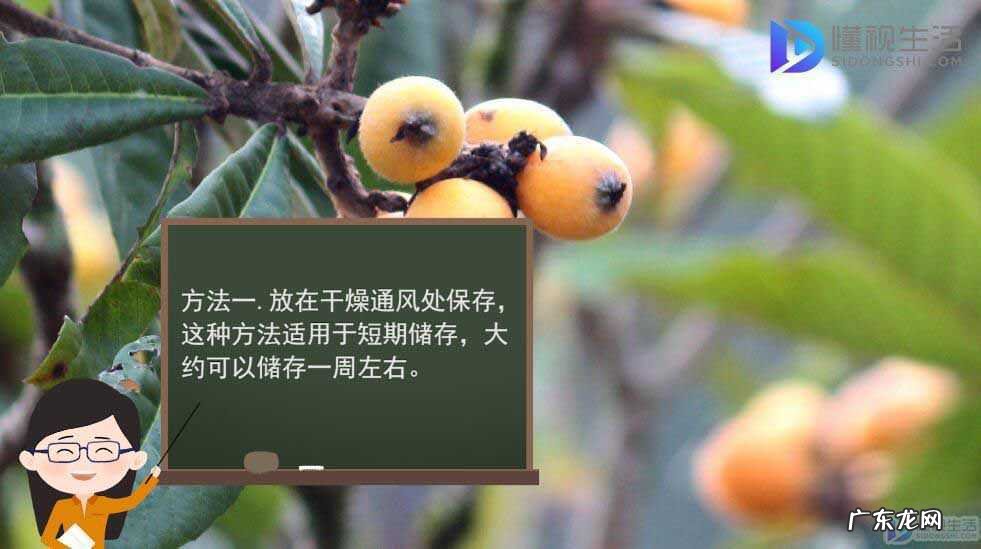 中国最好吃的枇杷排行榜？ 买了一箱枇杷怎么保存