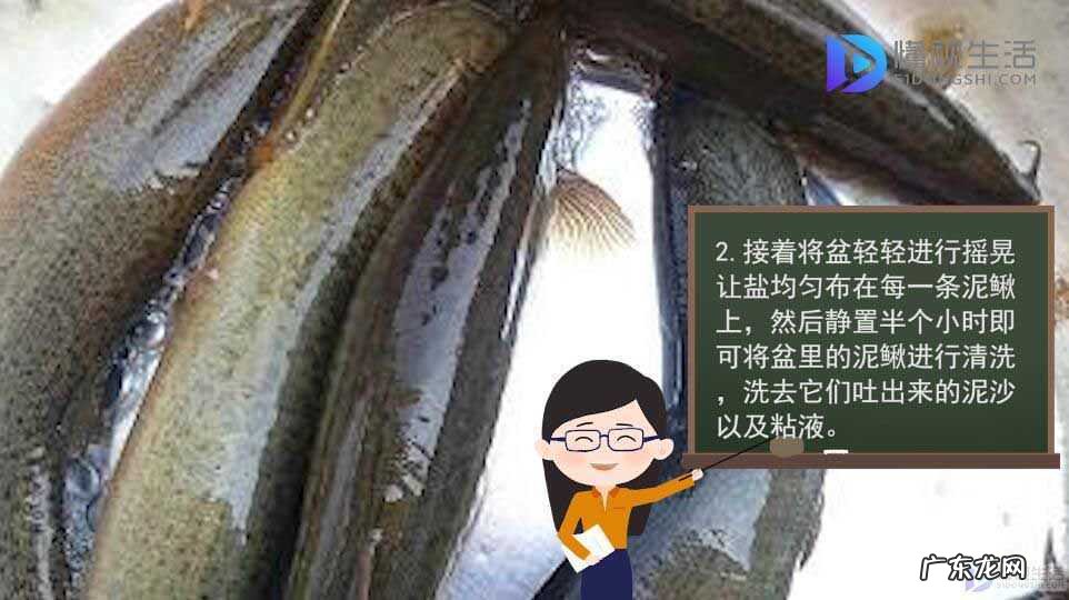 杀泥鳅最简单的方法? 泥鳅怎么杀和洗