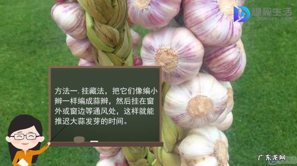 家庭怎样保存大蒜? 大蒜如何保存