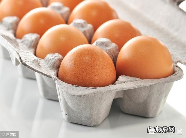 每天吃10个苹果10个鸡蛋减肥可以么？一个月后会怎样？