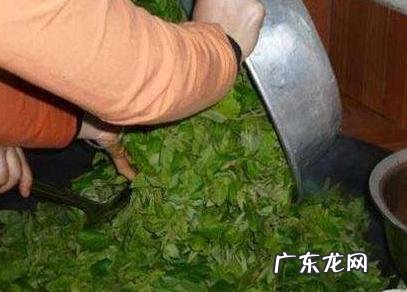 带脉堵塞就等于腹部肥胖吗？