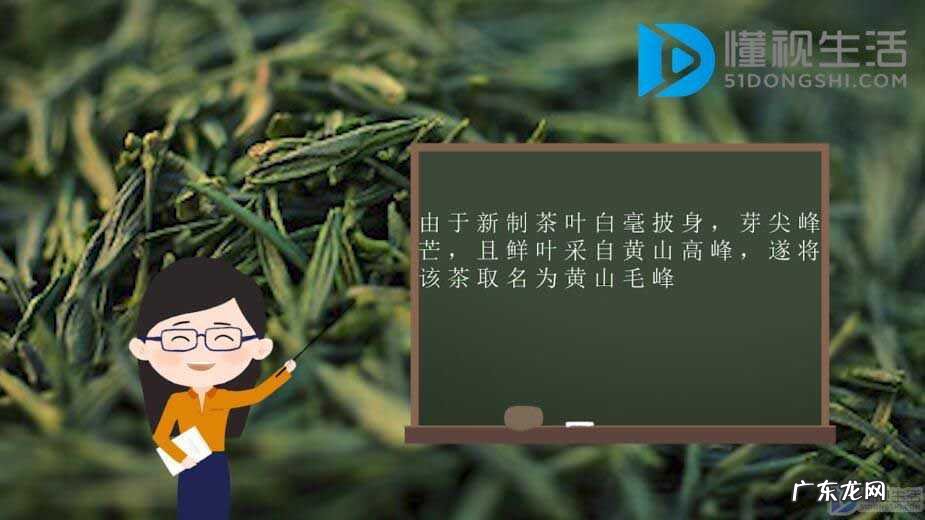 黄山毛峰属于什么档次? 黄山毛峰是什么茶