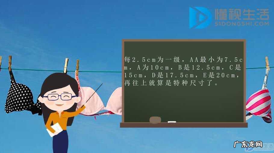 女性罩杯怎样算？ 文胸罩杯计算方法
