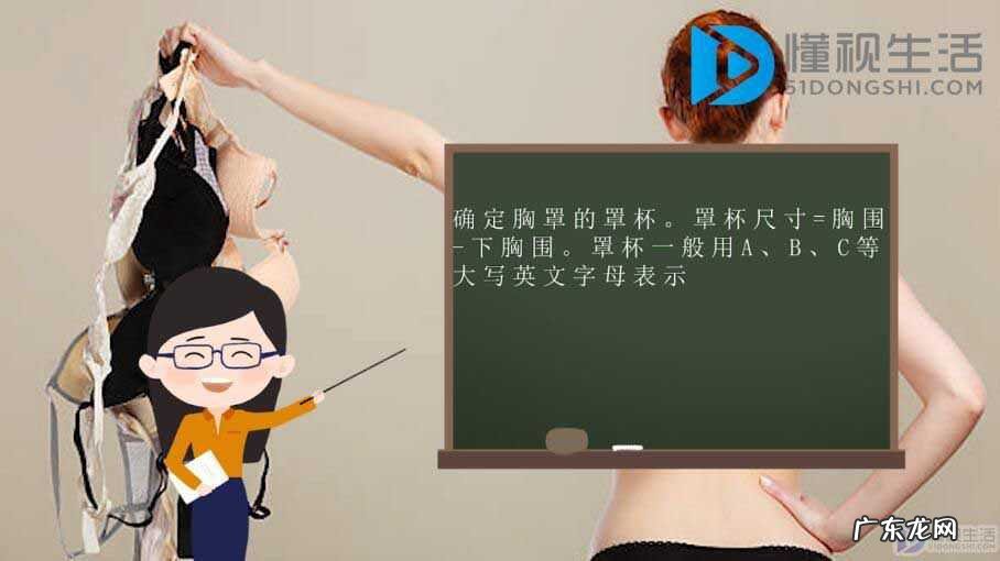 女性罩杯怎样算？ 文胸罩杯计算方法